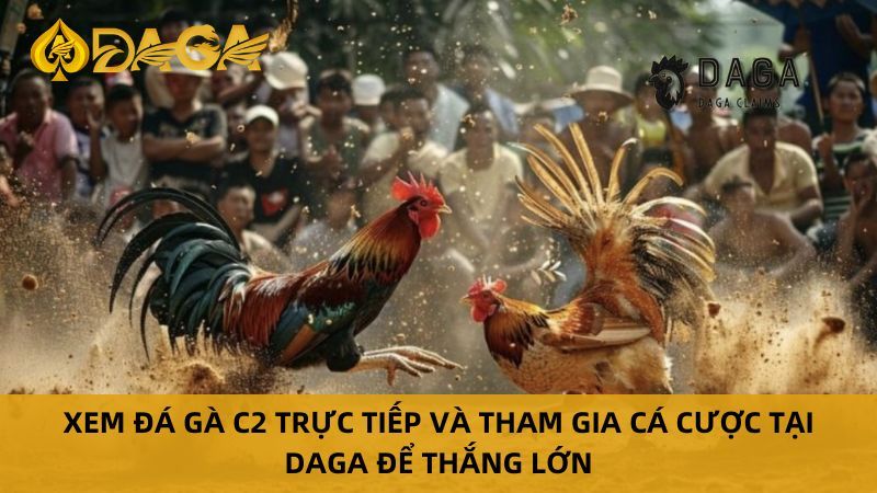 Lý do anh em không thể bỏ qua Đá Gà C2 Trực Tiếp