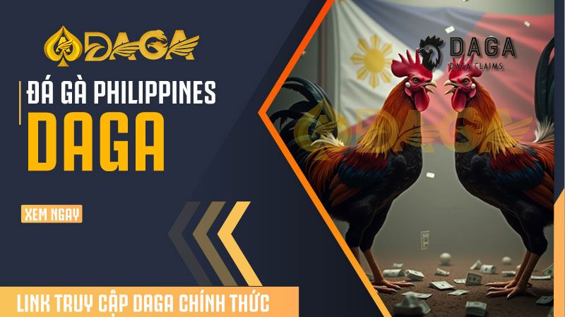 Đá gà Philippines – Sân chơi đẳng cấp dành cho anh em đam mê cá cược